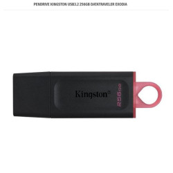 PENDRIVE KINGSTON USB3.2 256GB DATATRAVELER EXODIA