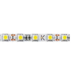 ROLLO BF 5MTS 300 LED5050 12V IP64